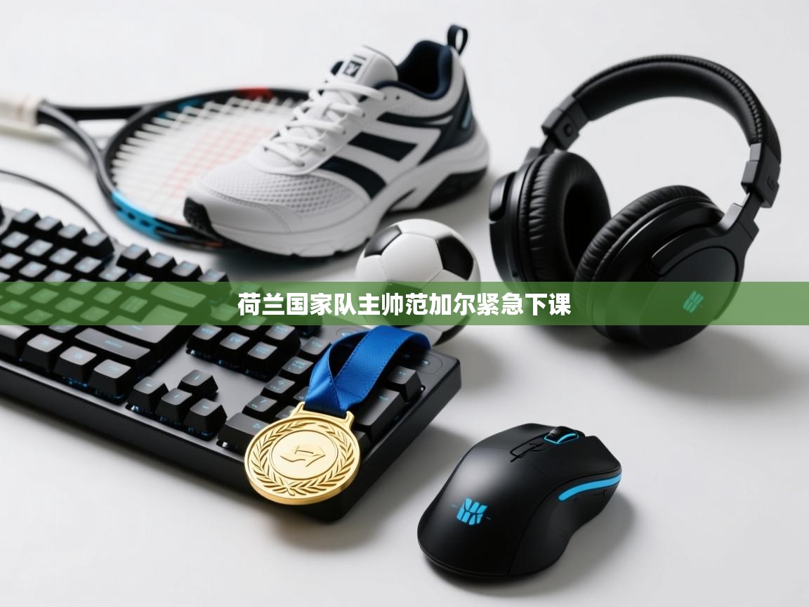 荷兰国家队主帅范加尔紧急下课  第2张